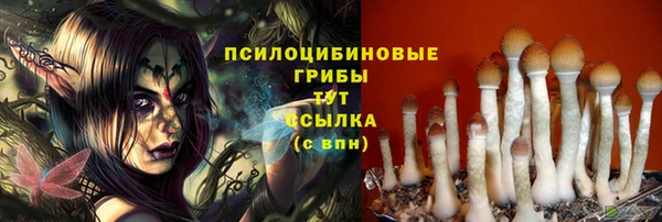 PSILOCYBIN Алексин